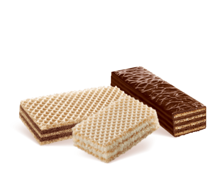 wafer